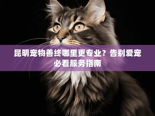 昆明宠物善终哪里更专业？告别爱宠必看服务指南
