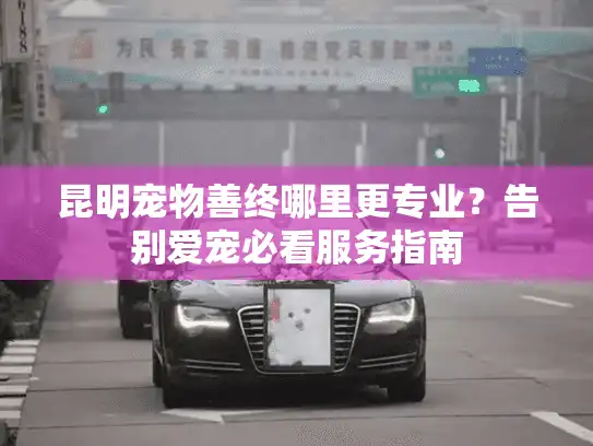 昆明宠物善终哪里更专业？告别爱宠必看服务指南