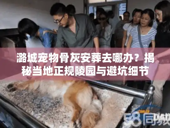 潞城宠物骨灰安葬去哪办？揭秘当地正规陵园与避坑细节