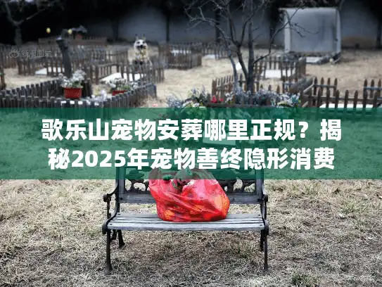 歌乐山宠物安葬哪里正规？揭秘2025年宠物善终隐形消费