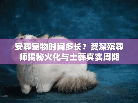 安葬宠物时间多长？资深殡葬师揭秘火化与土葬真实周期