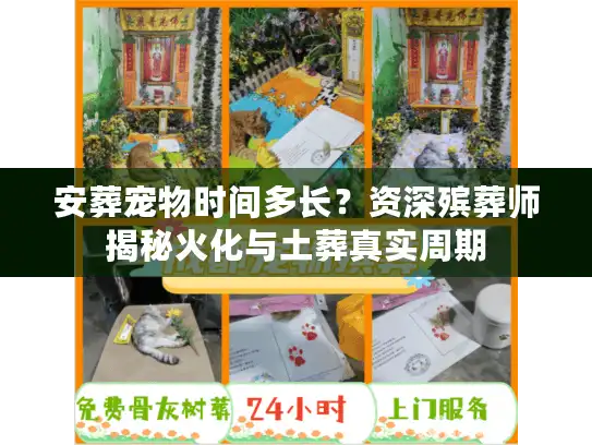 安葬宠物时间多长？资深殡葬师揭秘火化与土葬真实周期