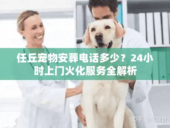 任丘宠物安葬电话多少？24小时上门火化服务全解析