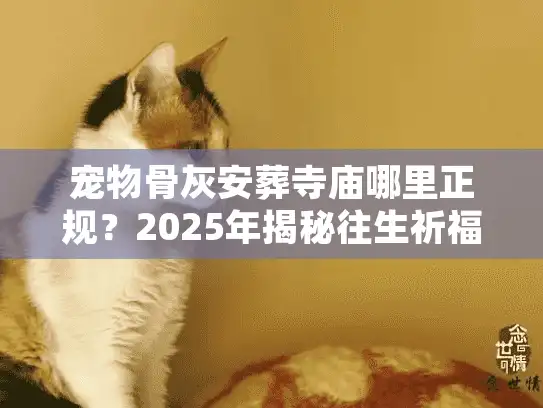 宠物骨灰安葬寺庙哪里正规？2025年揭秘往生祈福的真实门道