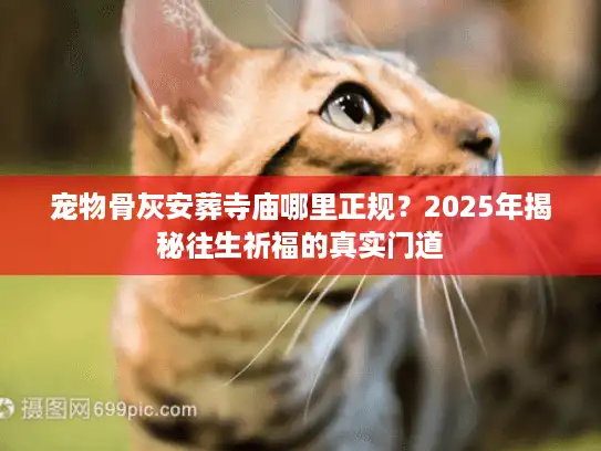 宠物骨灰安葬寺庙哪里正规？2025年揭秘往生祈福的真实门道
