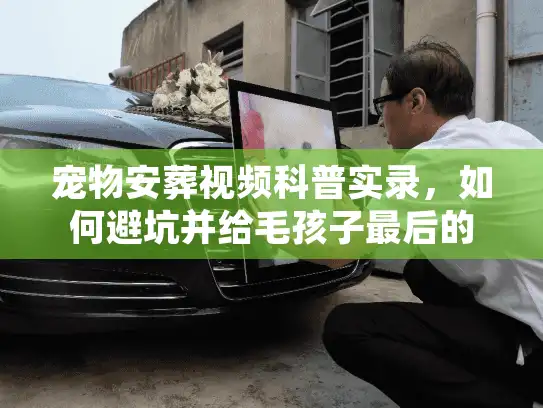 宠物安葬视频科普实录，如何避坑并给毛孩子最后的体面？