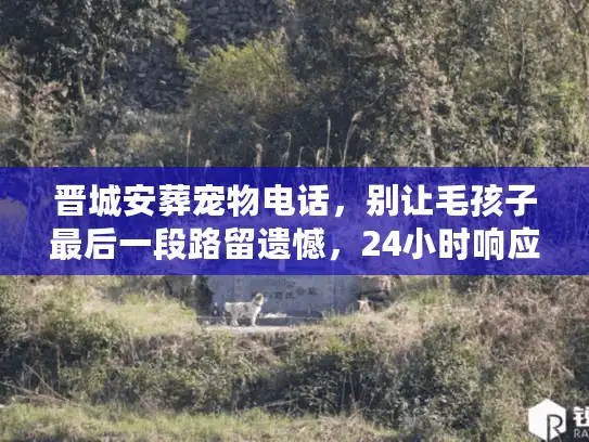 晋城安葬宠物电话，别让毛孩子最后一段路留遗憾，24小时响应