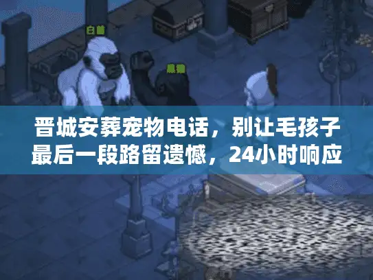 晋城安葬宠物电话，别让毛孩子最后一段路留遗憾，24小时响应