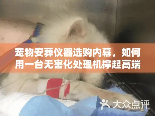宠物安葬仪器选购内幕，如何用一台无害化处理机撑起高端门店？