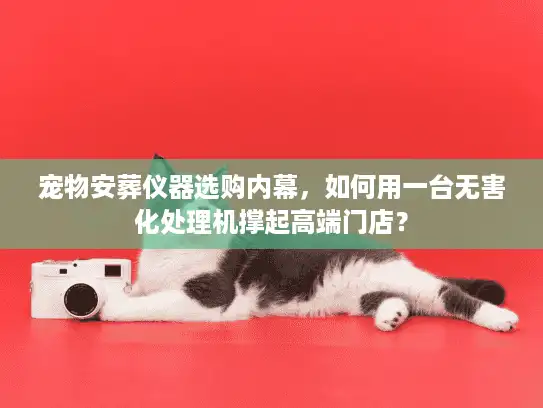宠物安葬仪器选购内幕，如何用一台无害化处理机撑起高端门店？
