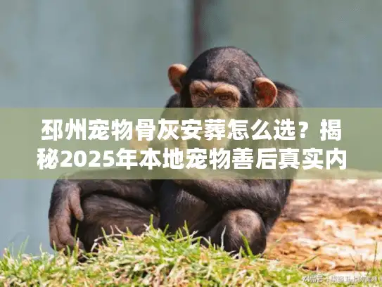 邳州宠物骨灰安葬怎么选？揭秘2025年本地宠物善后真实内幕