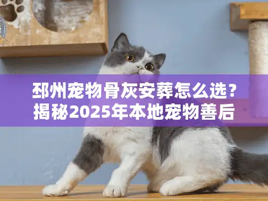 邳州宠物骨灰安葬怎么选？揭秘2025年本地宠物善后真实内幕