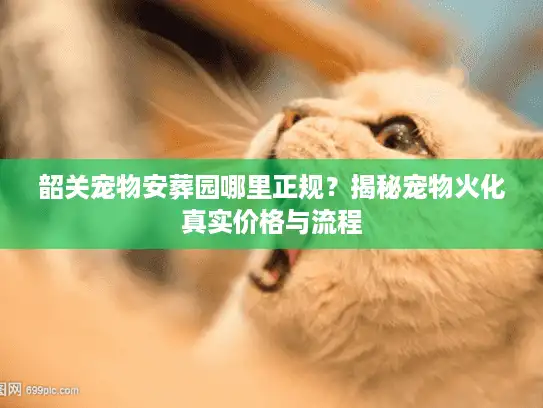 韶关宠物安葬园哪里正规？揭秘宠物火化真实价格与流程