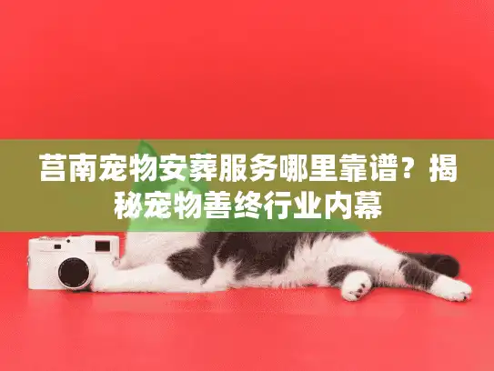 莒南宠物安葬服务哪里靠谱？揭秘宠物善终行业内幕