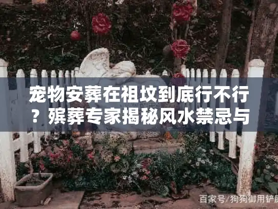 宠物安葬在祖坟到底行不行？殡葬专家揭秘风水禁忌与合规替代