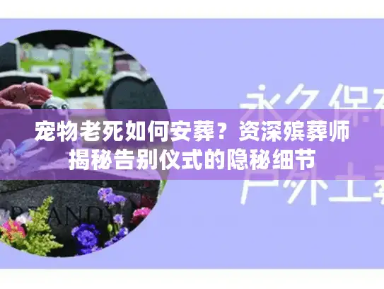 宠物老死如何安葬？资深殡葬师揭秘告别仪式的隐秘细节