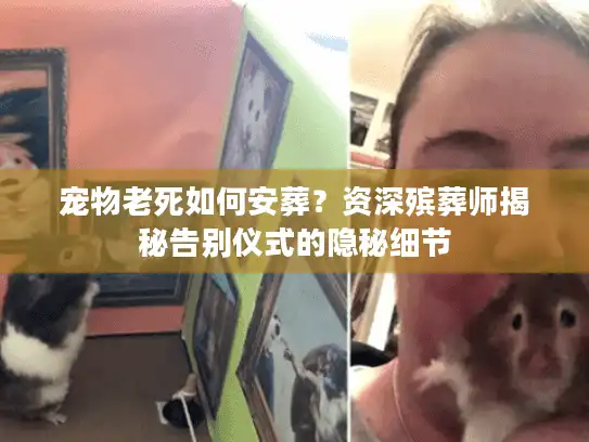宠物老死如何安葬？资深殡葬师揭秘告别仪式的隐秘细节