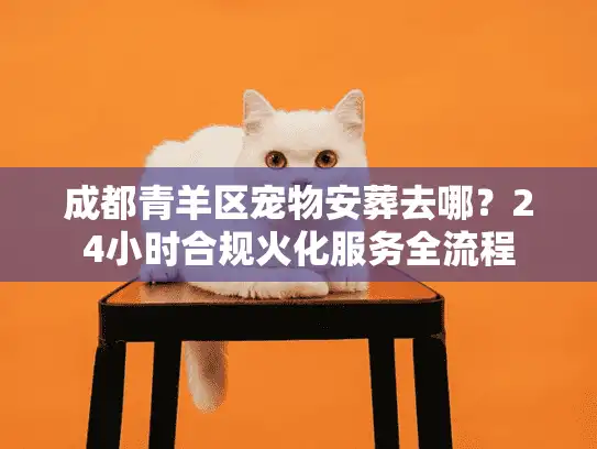 成都青羊区宠物安葬去哪？24小时合规火化服务全流程