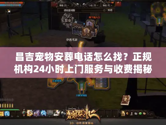 昌吉宠物安葬电话怎么找？正规机构24小时上门服务与收费揭秘