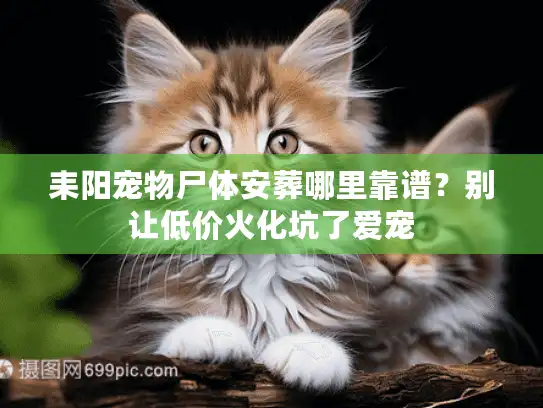 耒阳宠物尸体安葬哪里靠谱？别让低价火化坑了爱宠