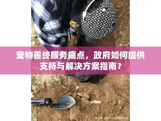 宠物善终服务痛点，政府如何提供支持与解决方案指南？