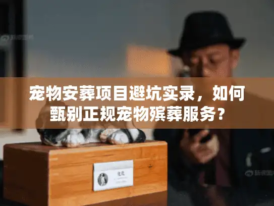 宠物安葬项目避坑实录，如何甄别正规宠物殡葬服务？