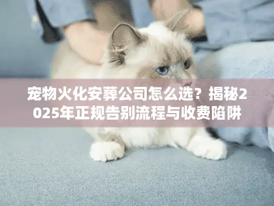 宠物火化安葬公司怎么选？揭秘2025年正规告别流程与收费陷阱