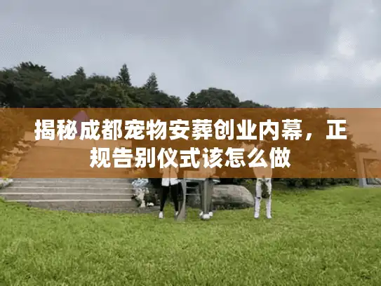 揭秘成都宠物安葬创业内幕，正规告别仪式该怎么做