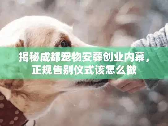 揭秘成都宠物安葬创业内幕，正规告别仪式该怎么做