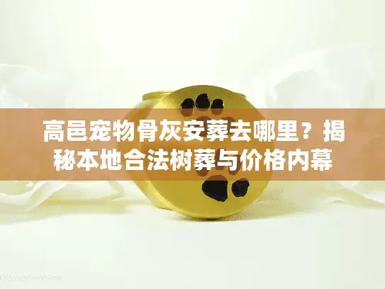 高邑宠物骨灰安葬去哪里？揭秘本地合法树葬与价格内幕