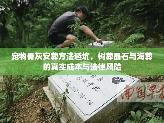 宠物骨灰安葬方法避坑，树葬晶石与海葬的真实成本与法律风险