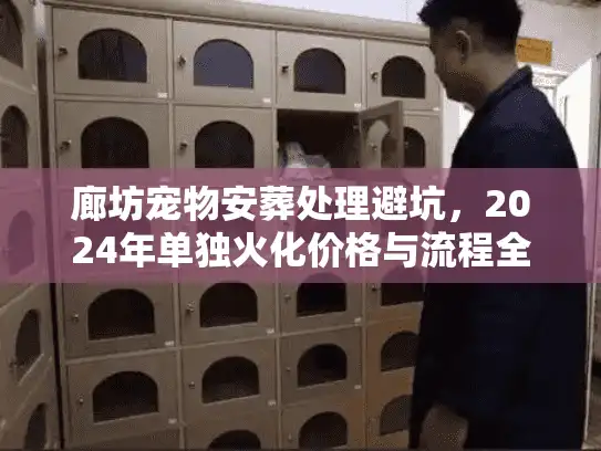 廊坊宠物安葬处理避坑，2024年单独火化价格与流程全解