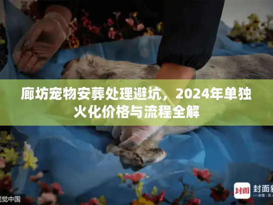 廊坊宠物安葬处理避坑，2024年单独火化价格与流程全解
