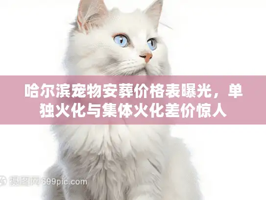 哈尔滨宠物安葬价格表曝光，单独火化与集体火化差价惊人