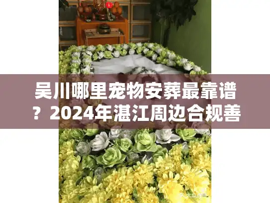 吴川哪里宠物安葬最靠谱？2024年湛江周边合规善终服务实测