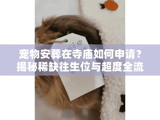 宠物安葬在寺庙如何申请？揭秘稀缺往生位与超度全流程