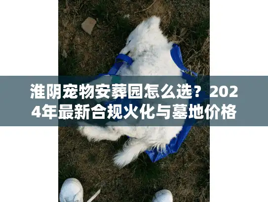 淮阴宠物安葬园怎么选？2024年最新合规火化与墓地价格