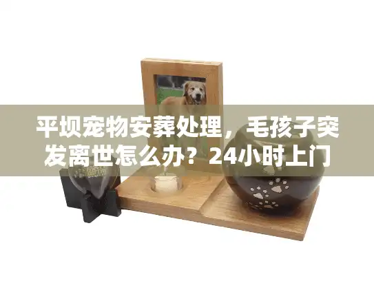 平坝宠物安葬处理，毛孩子突发离世怎么办？24小时上门火化深度测评