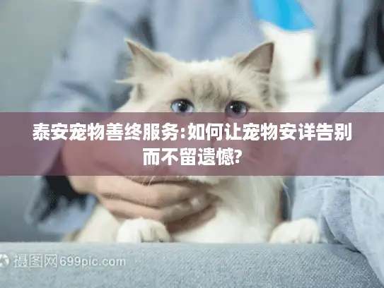 泰安宠物善终服务:如何让宠物安详告别而不留遗憾?