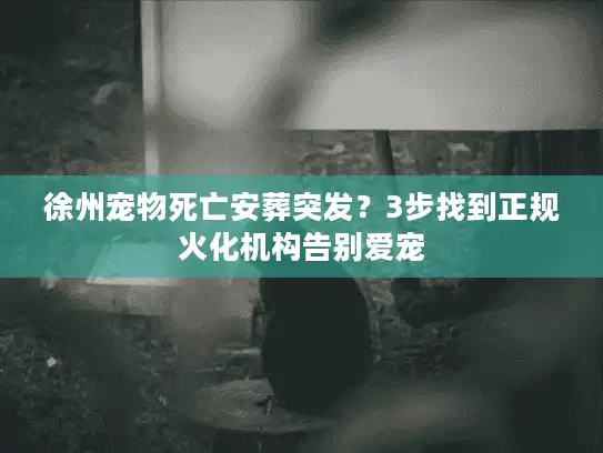 徐州宠物死亡安葬突发？3步找到正规火化机构告别爱宠