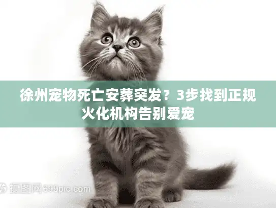 徐州宠物死亡安葬突发？3步找到正规火化机构告别爱宠