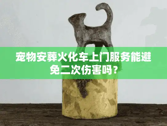 宠物安葬火化车上门服务能避免二次伤害吗？