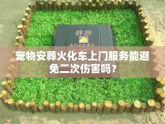 宠物安葬火化车上门服务能避免二次伤害吗？
