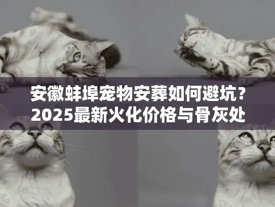 安徽蚌埠宠物安葬如何避坑？2025最新火化价格与骨灰处理深度解析