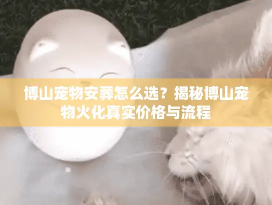 博山宠物安葬怎么选？揭秘博山宠物火化真实价格与流程