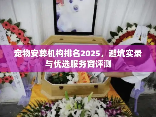 宠物安葬机构排名2025，避坑实录与优选服务商评测