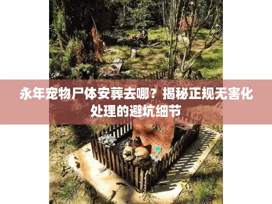永年宠物尸体安葬去哪？揭秘正规无害化处理的避坑细节