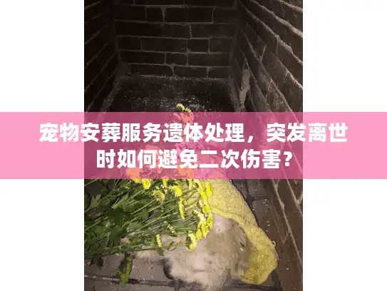 宠物安葬服务遗体处理，突发离世时如何避免二次伤害？