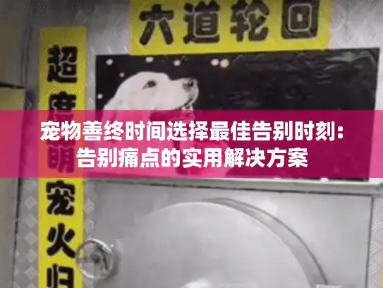宠物善终时间选择最佳告别时刻:告别痛点的实用解决方案