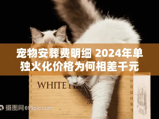 宠物安葬费明细 2024年单独火化价格为何相差千元？